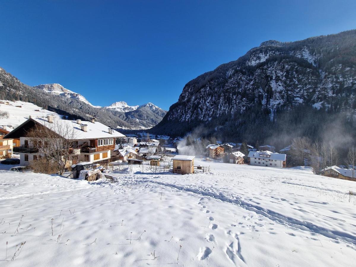 Cesa Cherpei - Dog Friendly Campitello di Fassa Exteriör bild