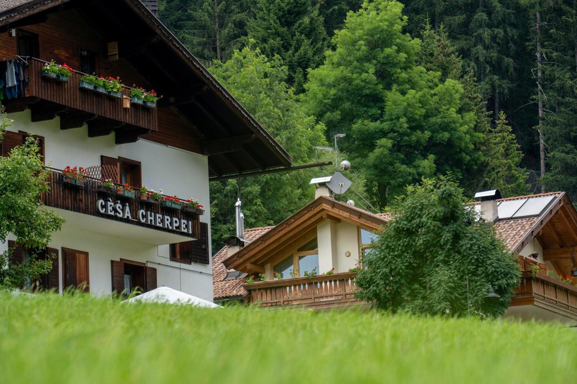 Cesa Cherpei - Dog Friendly Campitello di Fassa Exteriör bild