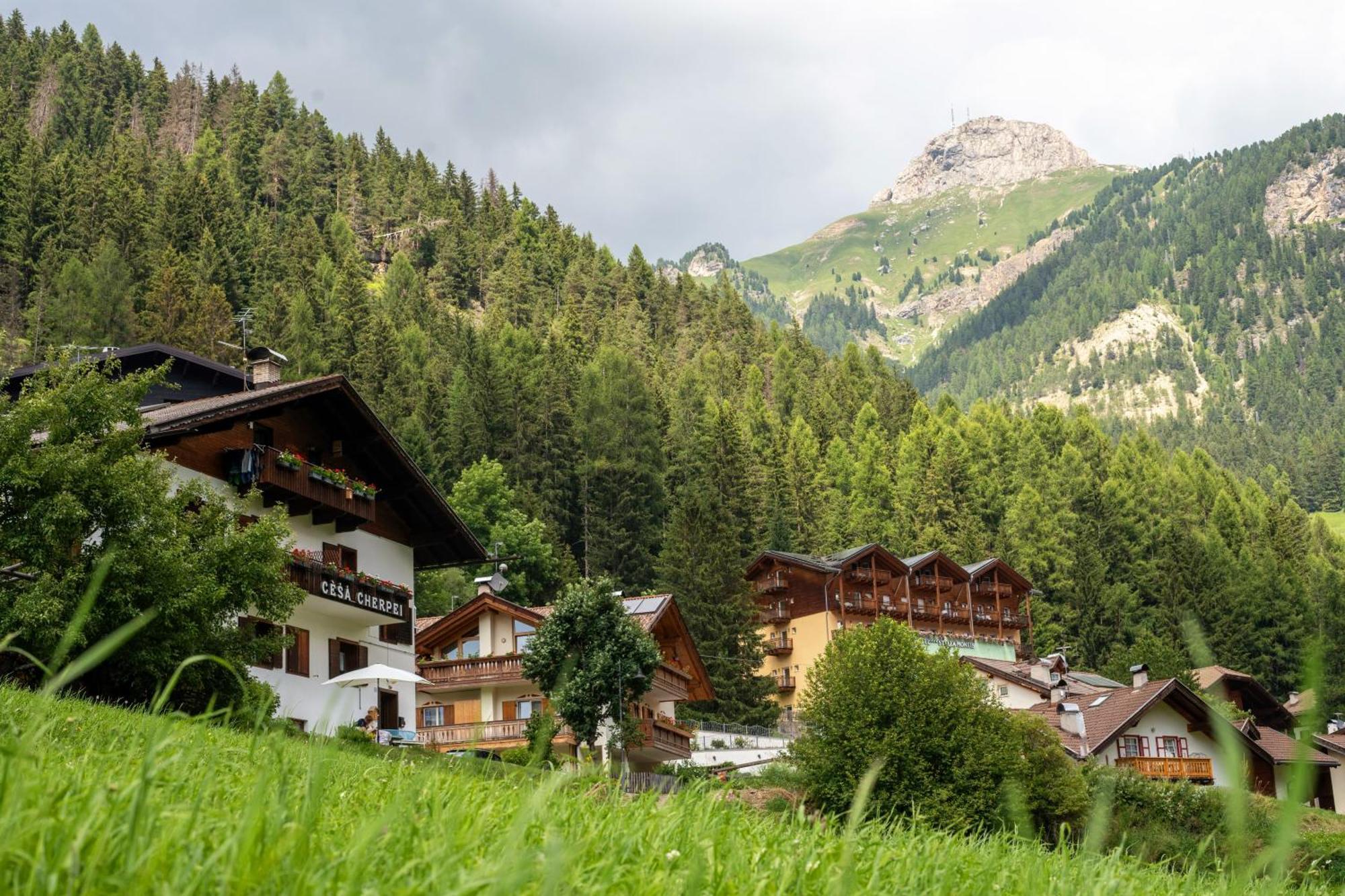 Cesa Cherpei - Dog Friendly Campitello di Fassa Exteriör bild